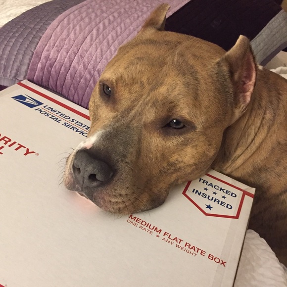 🦚Meet your Posh Ambassador, Dawn🦚 - Picture 1 of 1